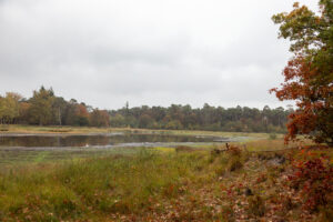 mphf 20251014 nuijten&c0 038